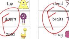 Image by Maralyn Parker