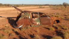 Image by John Guenther