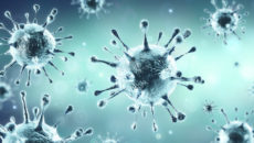 Image by Adobe Stock