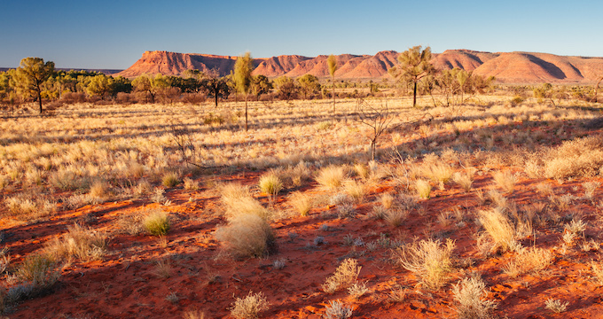 Image by Adobe Stock