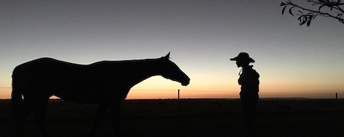 People call me “bogan”: how to mend the country-city divide in higher education