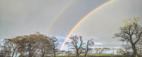 Want To Know How To Get Funding For Your Project? We Talked To Stakeholders. Here’s What We Discovered.