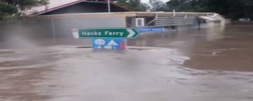 How our messy research journey survived floods, fires and COVID19