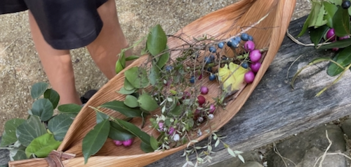 What makes a culturally nourishing school?