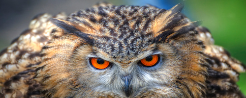 It would be so much better if we taught two ways. Here’s why