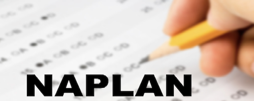 Reading for Emotion: we need more from the NAPLAN marking guide