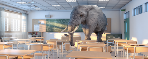 What’s the best way to support teachers to become interdisciplinary?