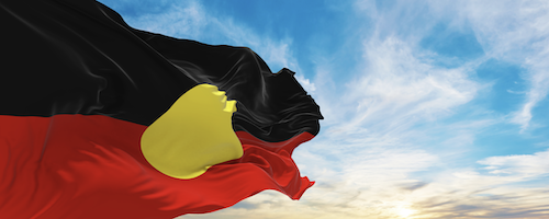 Why and how the Voice is a teachable moment right now