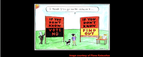 The Voice referendum: If you don’t know, I challenge you to find out