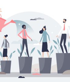 New teachers and their leaders: what they need to thrive