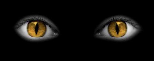 What happens now to children and families after these horrors?